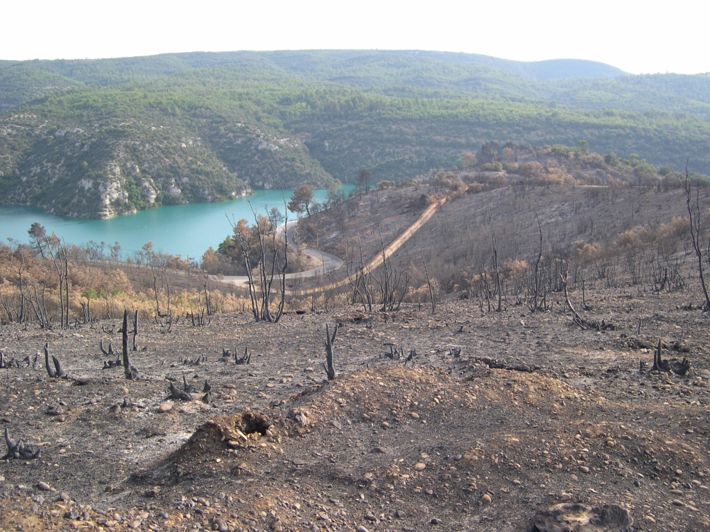 Après l'incendie de 2005 à Esparron