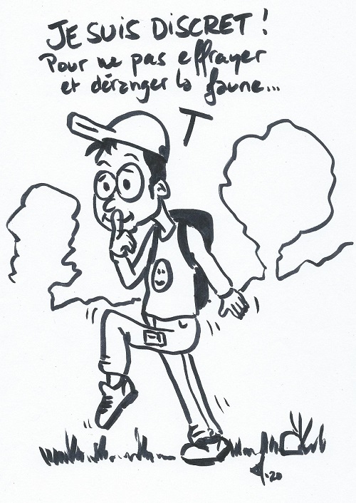 Dessin Matthieu Morard du Parc naturel régional des Baronnies provençales