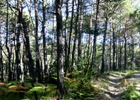 Parc naturel régional du Verdon