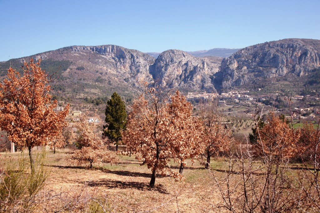 Truffières à Moustiers-Pierre Marilly - Licence CC