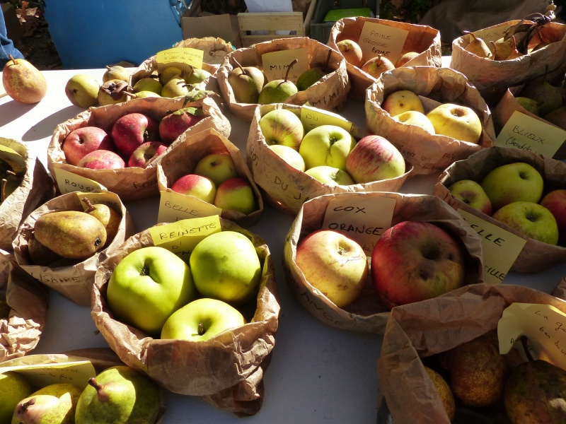 Variétés fruitières anciennes