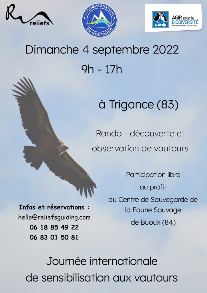 2022-vautours-relief