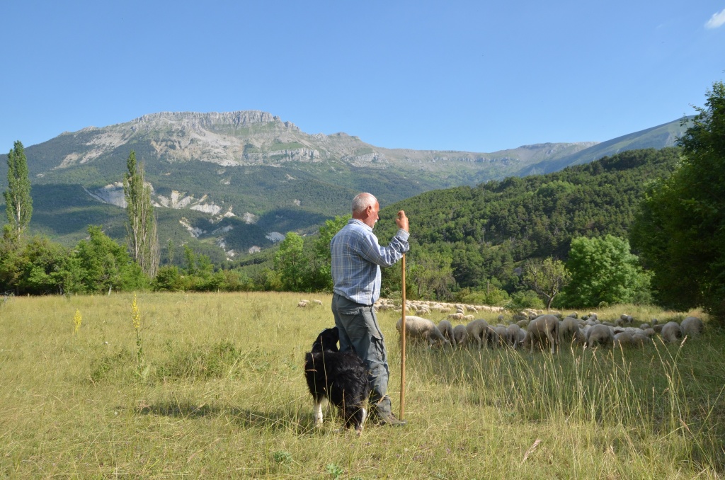 © Parc naturel régional du Verdon