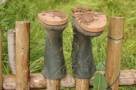 2016_Bottes-crMG