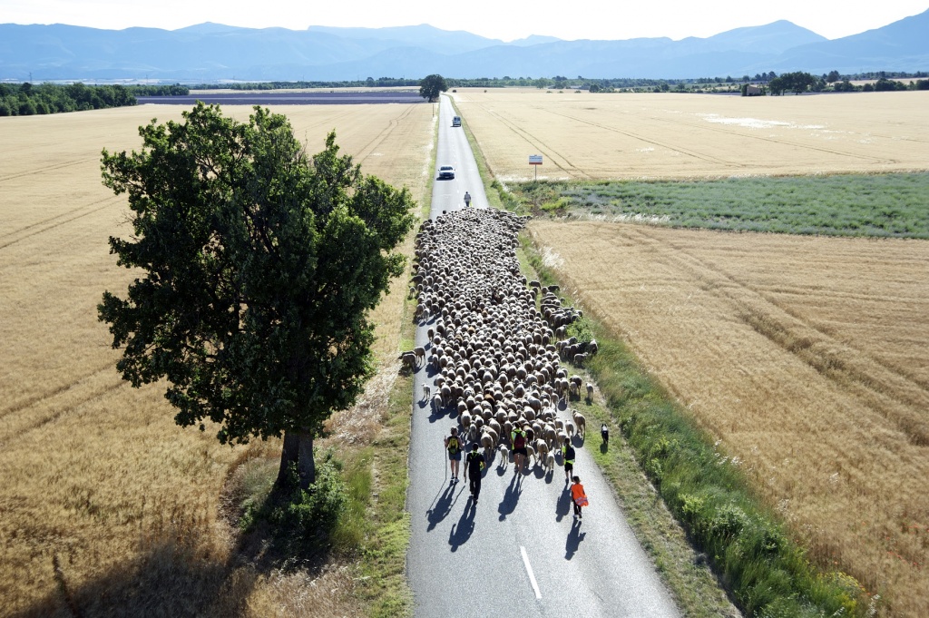 Transhumance-crédit PNRV