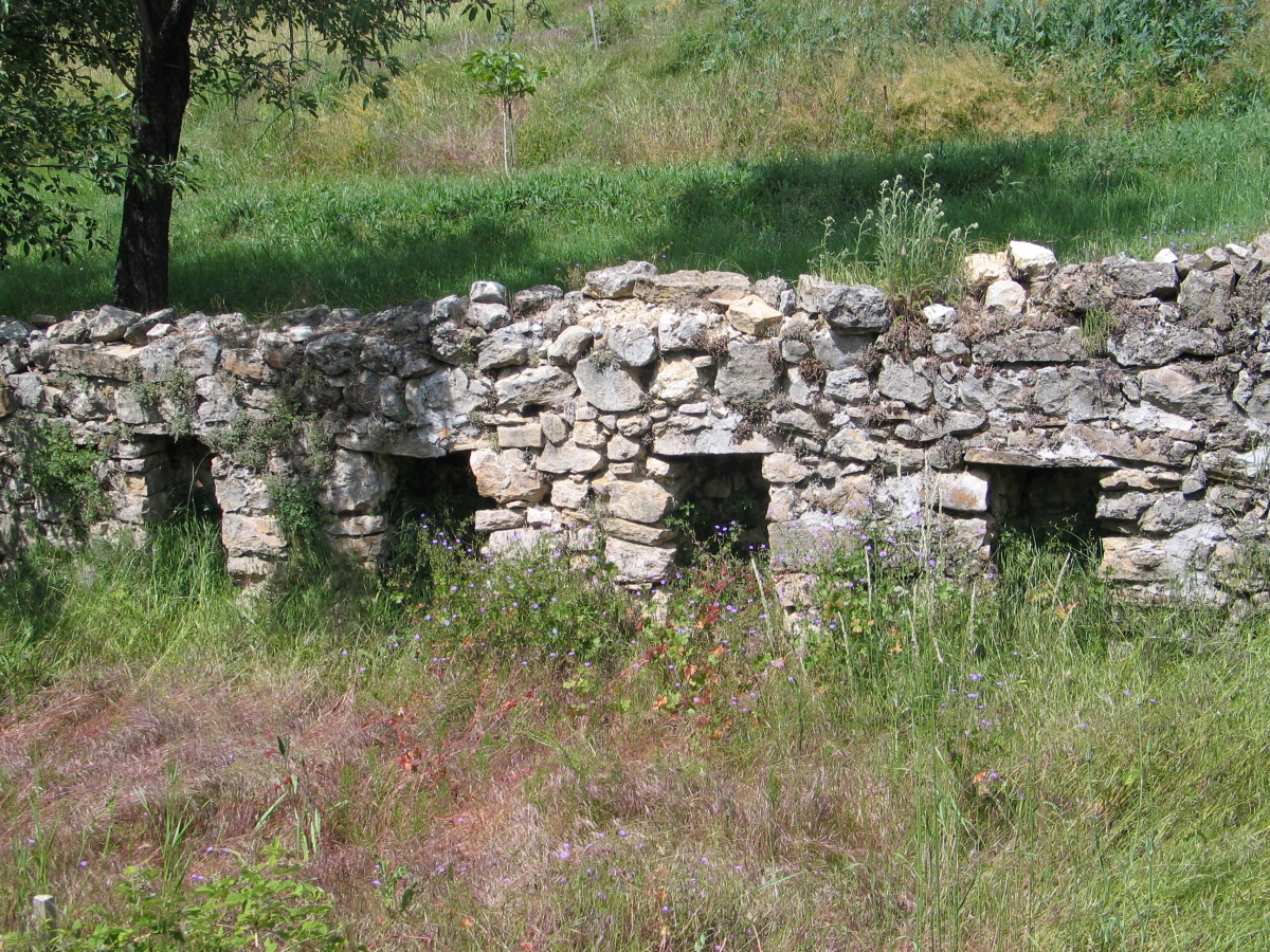 Mur apies dans l'Artuby - photo de Marc Doussière - Parc naturel régional du Verdon - 2005