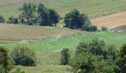 (PNRV) Agriculture irriguée (maraîchage) dans l’Artuby	