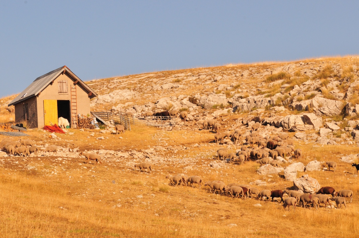 Cabane du Chiran (Dominique Chavy - PNRV)