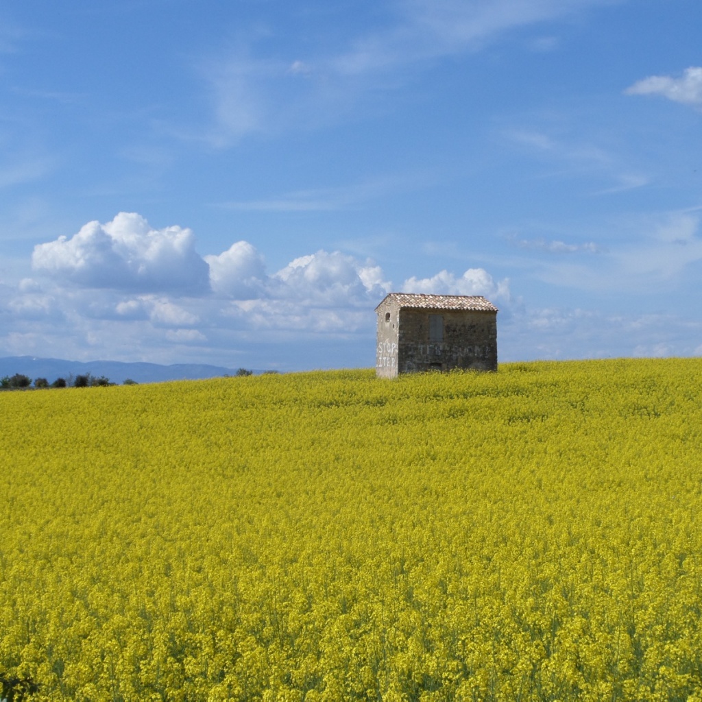 cabanon restauré à l'occasion d'un chantier sur la commune de Puimoisson, plateau de Valensole - photo de Marjorie Salvarelli - Parc naturel régional du Verdon 2014