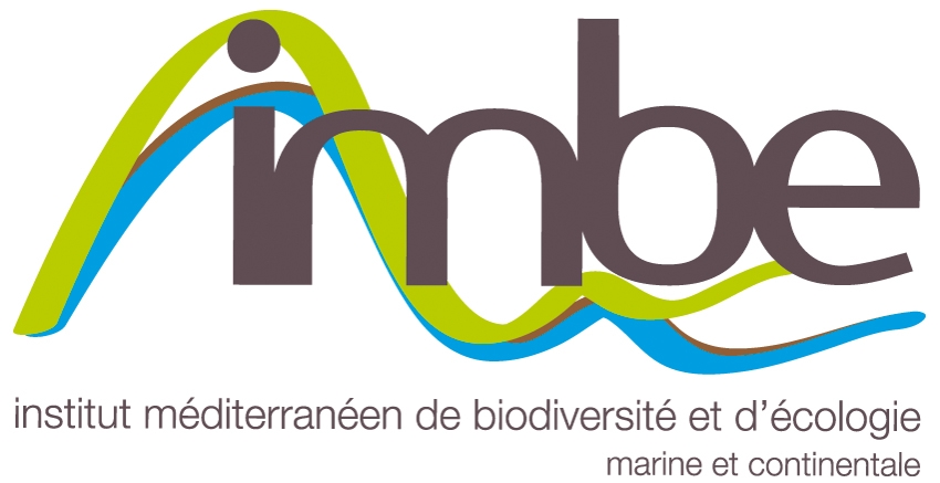 Logo IMBE