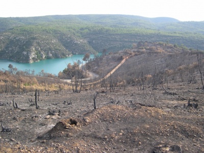 Après l'incendie de 2005 à Esparron