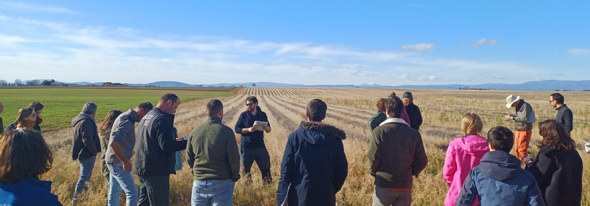 Journée technique REGAIN janvier 2025 - plateau de Valensole