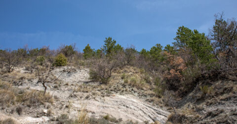 Ancienne carrière de gypse de L'huby à Saint-Jurs